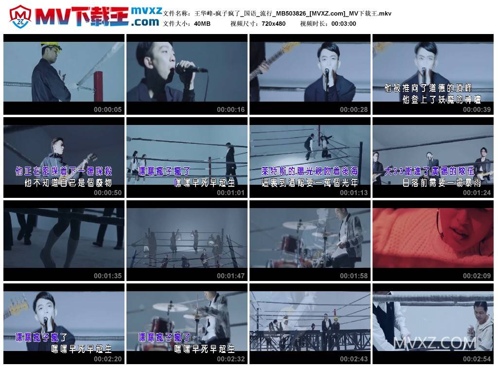 王华峰-疯子疯了_国语_流行_MB503826